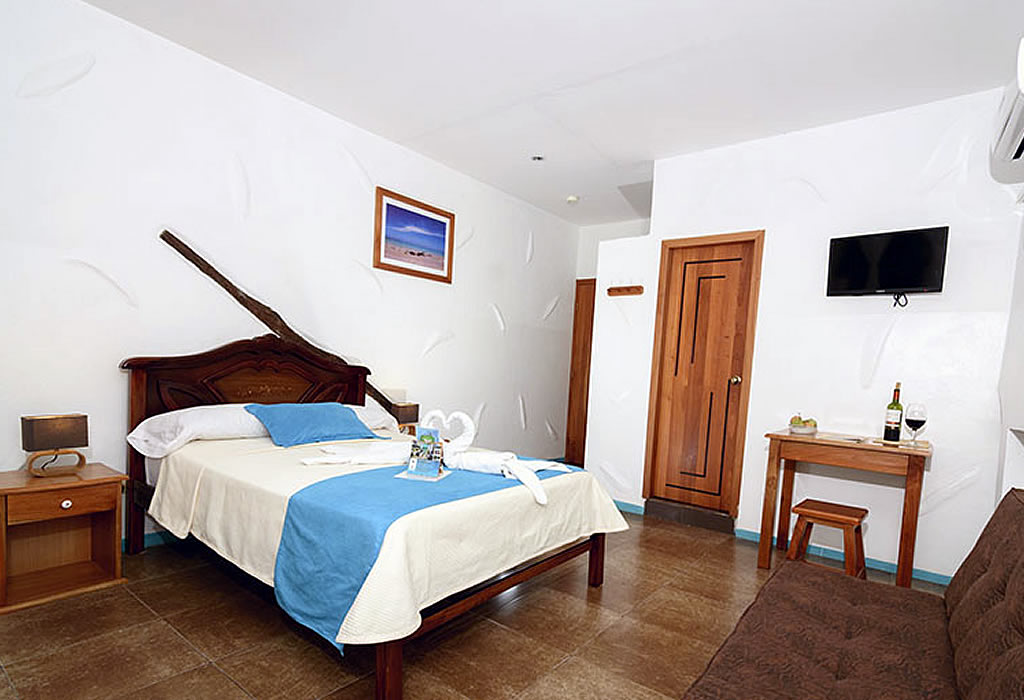 Double Standar Room